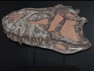 Espaco TIM UFMG do Conhecimento