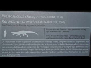 Espaco TIM UFMG do Conhecimento