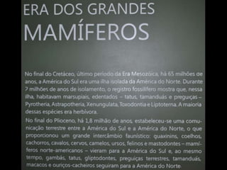 Espaco TIM UFMG do Conhecimento