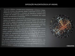 EXPOSIÇÃO PALEONTOLÓGICA (4º ANDAR)
 