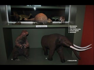 Espaco TIM UFMG do Conhecimento