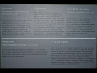 Espaco TIM UFMG do Conhecimento