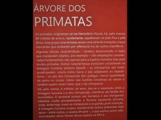 Espaco TIM UFMG do Conhecimento