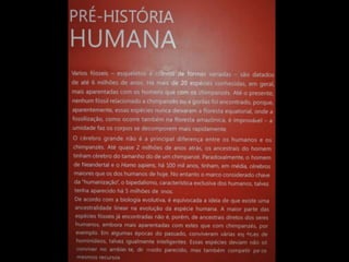 Espaco TIM UFMG do Conhecimento