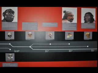 Espaco TIM UFMG do Conhecimento