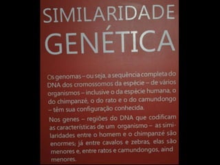 Espaco TIM UFMG do Conhecimento