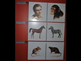 Espaco TIM UFMG do Conhecimento