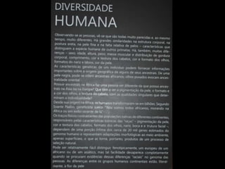 Espaco TIM UFMG do Conhecimento