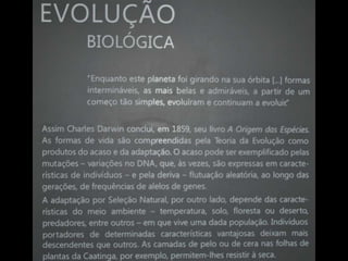 Espaco TIM UFMG do Conhecimento