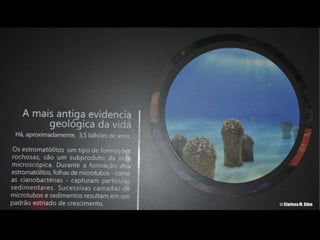 Espaco TIM UFMG do Conhecimento