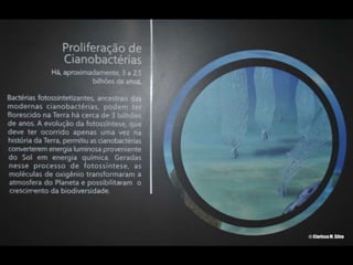 Espaco TIM UFMG do Conhecimento