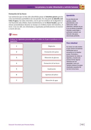 Formación de las heces
Las sustancias que no han sido absorbidas pasan al intestino grueso gracias
a los movimientos peristálticos de sus paredes. En esta parte se absorbe casi
toda el agua y las sales minerales, con lo que los residuos de la digestión se
van haciendo más sólidos, hasta transformarse en las heces fecales, que ter-
minan acumulándose durante un tiempo en el último tramo del intestino, el
recto. Una vez allí, son eliminadas y expulsadas periódicamente al exterior
a través del ano.
Ordena
Unidad 4: Las personas y la salud. Alimentación y nutrición humanas
[103 ]Educación Secundaria para Personas Adultas
Apendicitis
Es una infección del
apéndice, debido
generalmente a una
obstrucción. Puede
inflamarse y llenarse de pus.
Si no se elimina el apéndice
infectado, puede llegar a
perforarse y producir una
infección más grave,
denominada peritonitis.
Flora intestinal
Se conoce con este nombre
al gran número de bacterias
beneficiosas que se
encuentran en el intestino
grueso. Fermentan y
descomponen los restos no
digeridos, y durante este
proceso forman algunas
vitaminas que son
absorbidas, como la K.
También producen los gases
intestinales causantes del
mal olor de las heces.
Ordena los siguientes procesos según el orden en el que se producen en el
organismo
1 Deglución
2 Formación del quimo
3 Absorción de glucosa
4 Formación de las heces
5 Insalivación
6 Apertura del píloro
7 Absorción de agua
 