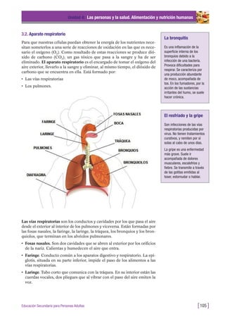 3.2. Aparato respiratorio
Para que nuestras células puedan obtener la energía de los nutrientes nece-
sitan someterlos a una serie de reacciones de oxidación en las que es nece-
sario el oxígeno (O2). Como resultado de estas reacciones se produce dió-
xido de carbono (CO2), un gas tóxico que pasa a la sangre y ha de ser
eliminado. El aparato respiratorio es el encargado de tomar el oxígeno del
aire exterior, llevarlo a la sangre y eliminar, al mismo tiempo, el dióxido de
carbono que se encuentra en ella. Está formado por:
• Las vías respiratorias
• Los pulmones.
Unidad 4: Las personas y la salud. Alimentación y nutrición humanas
[105 ]Educación Secundaria para Personas Adultas
Las vías respiratorias son los conductos y cavidades por los que pasa el aire
desde el exterior al interior de los pulmones y viceversa. Están formadas por
las fosas nasales, la faringe, la laringe, la tráquea, los bronquios y los bron-
quiolos, que terminan en los alvéolos pulmonares.
• Fosas nasales. Son dos cavidades que se abren al exterior por los orificios
de la nariz. Calientas y humedecen el aire que entra.
• Faringe. Conducto común a los aparatos digestivo y respiratorio. La epi-
glotis, situada en su parte inferior, impide el paso de los alimentos a las
vías respiratorias.
• Laringe. Tubo corto que comunica con la tráquea. En su interior están las
cuerdas vocales, dos pliegues que al vibrar con el paso del aire emiten la
voz.
La bronquitis
Es una inflamación de la
superficie interna de los
bronquios debido a la
infección de una bacteria.
Provoca dificultades para
respirar. Se caracteriza por
una producción abundante
de moco, acompañada de
tos. En los fumadores, por la
acción de las sustancias
irritantes del humo, se suele
hacer crónica.
El resfriado y la gripe
Son infecciones de las vías
respiratorias producidas por
virus. No tienen tratamientos
curativos, y remiten por sí
solas al cabo de unos días.
La gripe es una enfermedad
más grave. Suele ir
acompañada de dolores
musculares, escalofríos y
fiebre. Se transmite a través
de las gotitas emitidas al
toser, estornudar o hablar.
 