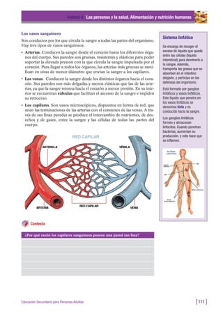 Los vasos sanguíneos
Son conductos por los que circula la sangre a todas las partes del organismo.
Hay tres tipos de vasos sanguíneos:
• Arterias. Conducen la sangre desde el corazón hasta los diferentes órga-
nos del cuerpo. Sus paredes son gruesas, resistentes y elásticas para poder
soportar la elevada presión con la que circula la sangre impulsada por el
corazón. Para llegar a todos los órganos, las arterias más gruesas se rami-
fican en otras de menor diámetro que envían la sangre a los capilares.
• Las venas. Conducen la sangre desde los distintos órganos hacia el cora-
zón. Sus paredes son más delgadas y menos elásticas que las de las arte-
rias, ya que la sangre retorna hacia el corazón a menor presión. En su inte-
rior se encuentran válvulas que facilitan el ascenso de la sangre e impiden
su retroceso.
• Los capilares. Son vasos microscópicos, dispuestos en forma de red, que
unen las terminaciones de las arterias con el comienzo de las venas. A tra-
vés de sus finas paredes se produce el intercambio de nutrientes, de des-
echos y de gases, entre la sangre y las células de todas las partes del
cuerpo.
Unidad 4: Las personas y la salud. Alimentación y nutrición humanas
[111 ]Educación Secundaria para Personas Adultas
¿Por qué razón los capilares sanguíneos poseen una pared tan fina?
Contesta
Sistema linfático
Se encarga de recoger el
exceso de líquido que queda
entre las células (líquido
intersticial) para devolverlo a
la sangre. Además,
transporta las grasas que se
absorben en el intestino
delgado, y participa en las
defensas del organismo.
Está formado por ganglios
linfáticos y vasos linfáticos.
Este líquido que penetra en
los vasos linfáticos se
denomina linfa y es
conducido hacia la sangre.
Los ganglios linfáticos
forman y almacenan
linfocitos. Cuando penetran
bacterias, aumentan su
producción, y esto hace que
se inflamen.
 