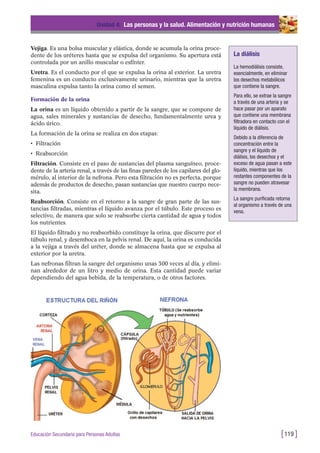 Vejiga. Es una bolsa muscular y elástica, donde se acumula la orina proce-
dente de los uréteres hasta que se expulsa del organismo. Su apertura está
controlada por un anillo muscular o esfínter.
Uretra. Es el conducto por el que se expulsa la orina al exterior. La uretra
femenina es un conducto exclusivamente urinario, mientras que la uretra
masculina expulsa tanto la orina como el semen.
Formación de la orina
La orina es un líquido obtenido a partir de la sangre, que se compone de
agua, sales minerales y sustancias de desecho, fundamentalmente urea y
ácido úrico.
La formación de la orina se realiza en dos etapas:
• Filtración
• Reabsorción
Filtración. Consiste en el paso de sustancias del plasma sanguíneo, proce-
dente de la arteria renal, a través de las finas paredes de los capilares del glo-
mérulo, al interior de la nefrona. Pero esta filtración no es perfecta, porque
además de productos de desecho, pasan sustancias que nuestro cuerpo nece-
sita.
Reabsorción. Consiste en el retorno a la sangre de gran parte de las sus-
tancias filtradas, mientras el líquido avanza por el túbulo. Este proceso es
selectivo, de manera que solo se reabsorbe cierta cantidad de agua y todos
los nutrientes.
El líquido filtrado y no reabsorbido constituye la orina, que discurre por el
túbulo renal, y desemboca en la pelvis renal. De aquí, la orina es conducida
a la vejiga a través del uréter, donde se almacena hasta que se expulsa al
exterior por la uretra.
Las nefronas filtran la sangre del organismo unas 300 veces al día, y elimi-
nan alrededor de un litro y medio de orina. Esta cantidad puede variar
dependiendo del agua bebida, de la temperatura, o de otros factores.
Unidad 4: Las personas y la salud. Alimentación y nutrición humanas
[119 ]Educación Secundaria para Personas Adultas
La diálisis
La hemodiálisis consiste,
esencialmente, en eliminar
los desechos metabólicos
que contiene la sangre.
Para ello, se extrae la sangre
a través de una arteria y se
hace pasar por un aparato
que contiene una membrana
filtradora en contacto con el
líquido de diálisis.
Debido a la diferencia de
concentración entre la
sangre y el líquido de
diálisis, los desechos y el
exceso de agua pasan a este
líquido, mientras que los
restantes componentes de la
sangre no pueden atravesar
la membrana.
La sangre purificada retorna
al organismo a través de una
vena.
 