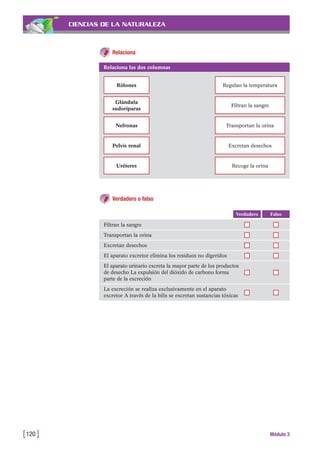 CIENCIAS DE LA NATURALEZA
Relaciona
[120 ] Módulo 3
Relaciona las dos columnas
Riñones Regulan la temperatura
Glándula
sudoríparas
Filtran la sangre
Nefronas Transportan la orina
Pelvis renal Excretan desechos
Uréteres Recoge la orina
Verdadero o falso
FalsoVerdadero
Filtran la sangre
Transportan la orina
Excretan desechos
El aparato excretor elimina los residuos no digeridos
El aparato urinario excreta la mayor parte de los productos
de desecho La expulsión del dióxido de carbono forma
parte de la excreción
La excreción se realiza exclusivamente en el aparato
excretor A través de la bilis se excretan sustancias tóxicas
 