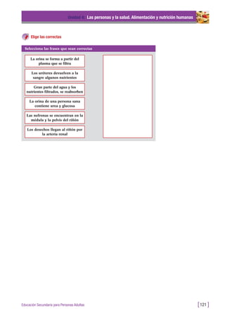 Elige las correctas
Unidad 4: Las personas y la salud. Alimentación y nutrición humanas
[121 ]Educación Secundaria para Personas Adultas
Selecciona las frases que sean correctas
La orina se forma a partir del
plasma que se filtra
Los uréteres devuelven a la
sangre algunos nutrientes
Gran parte del agua y los
nutrientes filtrados, se reabsorben
La orina de una persona sana
contiene urea y glucosa
Las nefronas se encuentran en la
médula y la pelvis del riñón
Los desechos llegan al riñón por
la arteria renal
 