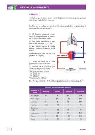 CIENCIAS DE LA NATURALEZA
EJERCICIOS
1. Explica qué relación existe entre el aparato circulatorio y los aparatos
digestivo, respiratorio y excretor.
2. ¿Por qué al realizar un ejercicio físico intenso el ritmo respiratorio y el
ritmo cardiaco se aceleran?
3. El siguiente esquema repre-
senta la circulación de la sangre
en el cuerpo humano. Indica:
a) Qué vasos sanguíneos repre-
sentan los números 1, 2, 3 y 4.
b) De dónde parten y, hacia
dónde conducen la sangre estos
vasos.
c) Por cuáles de ellos, circula san-
gre rica en oxígeno.
4. Utiliza los datos de la tabla
para realizar esta actividad.
a) Calcula las kilocalorías que
contiene el siguiente menú:
200 g de guisantes verdes
150 g de pollo
100 g de pan
Una manzana (150 g)
b) ¿Por qué alimentos de la tabla se puede sustituir la ración de pollo?
[122 ] Módulo 3
Nutrientes mayoritarios de los alimentos
Alimentos en
crudo
Proteínas Lípidos Glúcidos Kcal/100gr
Pan integral 9 1 60 280
Pollo asado 18 15 0,5 200
Lentejas 22 2 63 320
Manzana 0,5 0,5 14 55
Guisantes
verdes 7 0,5 19 85
Macarrones 10 0,5 74 360
Huevo 12 12 0,5 160
Yogurt 3,8 3,5 4,3 62
 