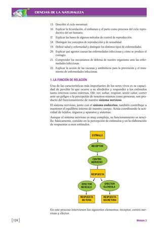 CIENCIAS DE LA NATURALEZA
[124 ] Módulo 3
1. LA FUNCIÓN DE RELACIÓN
Una de las características más importantes de los seres vivos es su capaci-
dad de percibir lo que ocurre a su alrededor y responder a los estímulos
tanto internos como externos. Oír, ver, soñar, respirar, sentir calor, correr
ante un peligro o la percepción de nosotros mismos como personas, son pro-
ducto del funcionamiento de nuestro sistema nervioso.
El sistema nervioso, junto con el sistema endocrino, también contribuye a
mantener el equilibrio interno de nuestro cuerpo. Actúa coordinando la acti-
vidad de tejidos, órganos y aparatos y sistemas.
Aunque el sistema nervioso es muy complejo, su funcionamiento es senci-
llo: básicamente, consiste en la percepción de estímulos y en la elaboración
de respuestas a esos estímulos.
En este proceso intervienen los siguientes elementos: receptor, centro ner-
vioso y efector.
15. Describir el ciclo menstrual.
16. Explicar la fecundación, el embarazo y el parto como procesos del ciclo repro-
ductivo del ser humano.
17. Explicar las bases de algunos métodos de control de reproducción.
18. Distinguir los conceptos de reproducción y de sexualidad.
19. Definir salud y enfermedad y distinguir los distintos tipos de enfermedades.
20. Explicar qué agentes causan las enfermedades infecciosas y cómo se produce el
contagio.
21. Comprender los mecanismos de defensa de nuestro organismo ante las enfer-
medades infecciosas.
22. Explicar la acción de las vacunas y antibióticos para la prevención y el trata-
miento de enfermedades infecciosas.
 