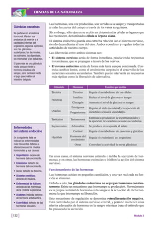 CIENCIAS DE LA NATURALEZA
Las hormonas, una vez producidas, son vertidas a la sangre y transportadas
a todas las partes del cuerpo a través de los vasos sanguíneos.
Sin embargo, sólo ejercen su acción en determinadas células u órganos que
las reconocen, denominados célula u órgano diana.
El sistema endocrino guarda una estrecha relación con el sistema nervioso,
siendo dependientes el uno del otro. Ambos coordinan y regulan todas las
actividades de nuestro cuerpo.
Las diferencias entre ambos sistemas son:
• El sistema nervioso actúa de forma inmediata, produciendo respuestas
instantáneas, que se propagan a través de los nervios.
• El sistema endocrino actúa de forma más lenta aunque continuada. Con-
trola cambios lentos, como el crecimiento corporal o el desarrollo de los
caracteres sexuales secundarios. También puede intervenir en respuestas
más rápidas como la liberación de adrenalina.
[132 ] Módulo 3
Glándulas exocrinas
No pertenecen al sistema
hormonal. Vierten sus
productos al exterior o a
cavidades internas del
organismo. Algunos ejemplos
son: las glándulas
sudoríparas, las lacrimales,
las salivales, las digestivas,
las mamarias y las sebáceas.
El páncreas es una glándula
mixta porque vierte la
hormona insulina a la
sangre, pero también vierte
el jugo pancreático al
intestino delgado.
Enfermedades
del sistema endocrino
En la siguiente lista se
indican las enfermedades
más frecuentes debidas a
alteraciones en los niveles
hormonales y sus causas:
• Gigantismo: exceso de
hormona del crecimiento.
• Enanismo: defecto de
hormona del crecimiento.
• Bocio: defecto de tiroxina.
• Diabetes mellitus:
defecto de insulina.
• Enfermedad de Adison:
defecto de las hormonas
de la corteza suprarrenal.
• Diabetes insípida: defecto
de hormona antidiurética.
• Esterilidad: defecto de las
hormonas sexuales.
Glándula Hormona Función que realiza
Tiroides Tiroxina Regula el metabolismo de las células
Páncreas
Insulina Reduce el nivel de glucosa en sangre
Glucagón Aumenta el nivel de glucosa en sangre
Estrógenos Regulan el ciclo menstrual y la aparición de
Ovarios
Progesterona carácteres sexuales secundarios
Testículos Testosterona
Estímula la producción de espermatozoides y
la aparición de caracteres sexuales secundarios
Suprarenales Adrenalina Se produce en respuesta al estrés
Cortisol Regula el metabolismo de proteinas y glúcidos
Hormona del
Regula el crecimiento del organismoHipófisis
crecimiento
Otras Controlan la actividad de otras glándulas
En unos casos, el sistema nervioso estimula o inhibe la secreción de hor-
monas, y en otros, las hormonas estimulan o inhiben la acción del sistema
nervioso.
Funcionamiento de las hormonas
Las hormonas actúan en pequeñas cantidades, y una vez realizada su fun-
ción se eliminan.
Debido a esto, las glándulas endocrinas no segregan hormonas constan-
temente. Existe un mecanismo que interrumpe su producción. Normalmente
es la propia cantidad de hormona en la sangre o la actuación de dicha hor-
mona la que interrumpe su liberación.
Este mecanismo de regulación se denomina retroalimentación negativa.
Está controlado por el sistema nervioso central, y permite mantener unos
niveles adecuados de hormona en la sangre mientras dura el estímulo que
ha provocado la secreción.
 