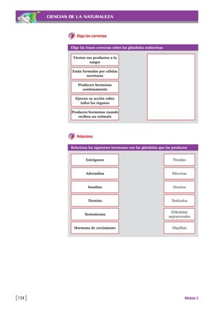 CIENCIAS DE LA NATURALEZA
Elige las correctas
[134 ] Módulo 3
Elige las frases correctas sobre las glándulas endocrinas
Vierten sus productos a la
sangre
Están formadas por células
secretoras
Producen hormonas
continuamente
Ejercen su acción sobre
todos los órganos
Producen hormonas cuando
reciben un estímulo
Relaciona las siguientes hormonas con las glándulas que las producen
Estrógenos Tiroides
Adrenalina Páncreas
Insulina Ovarios
Tiroxina Testículos
Testosterona
Glándulas
suprarrenales
Hormona de crecimiento Hipófisis
Relaciona
 