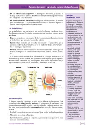 • En las extremidades superiores se distinguen: el húmero, el cúbito, el
radio y los huesos de la mano. Los brazos se unen al tronco por medio de
los omóplatos y las clavículas.
• En las extremidades inferiores se distinguen: el fémur, la tibia, el peroné
y los huesos del pie. Las piernas se unen al tronco a través de la pelvis o
cadera, formada por la fusión de tres huesos.
Las articulaciones
Las articulaciones son estructuras que unen los huesos contiguos, impi-
diendo su separación. Según los movimientos que permitan pueden ser de
tres tipos:
• Fijas: no permiten el movimiento de los huesos entre sí. Por ejemplo, las
articulaciones que unen los huesos del cráneo.
• Semimóviles: permiten un pequeño movimiento. Se encuentran en la
columna vertebral. Las vértebras se unen mediante discos intervertebra-
les de cartílago y ligamentos.
• Móviles: permiten mayor número de movimientos entre los huesos que las
forman; son típicas de las extremidades (rodillas, cadera, tobillos, codos,
etc.).
Los extremos de los huesos están recubiertos de cartílago para facilitar el
movimiento, y unidos entre sí por ligamentos, que impiden que se separen.
Además, entre los huesos hay una pequeña bolsa de un líquido viscoso (el
líquido sinovial) que actúa de lubricante y disminuye la fricción.
Unidad 5: Funciones de relación y reproducción humana. Salud y enfermedad
[143 ]Educación Secundaria para Personas Adultas
Sistema muscular
El sistema muscular constituye la parte activa del aparato locomotor. Está
formado por los músculos y los tendones.El movimiento de los huesos y las
articulaciones es posible gracias a que los músculos estánfuertemente uni-
dos a los huesos mediante los tendones.Las funciones del sistema muscu-
lar son:
• Producir los movimientos necesarios para llevar a cabo las funciones vitales.
• Mantener la postura del cuerpo.
• Permitir la mímica, que es el conjunto de gestos corporales que sirven para
expresar los sentimientos.
Ventajas
del ejercicio físico
El ejercicio físico regular es
muy saludable ya que mejora
la forma física y proporciona
bienestar. Es recomendable
hacer ejercicio al menos tres
veces por semana.
Conseguiremos así:
• Aumentar el desarrollo de
todos los músculos, ya que
sus fibras se hacen más
gruesas, largas, fuertes y
flexibles. Se adaptan a
esfuerzos prolongados, lo
que previene muchas
lesiones.
• Aumentar la actividad
cardiaca, con lo que el
músculo del corazón
aumenta de tamaño y
resiste mejor los esfuerzos
intensos. El corazón
bombea más sangre y
previene accidentes
cardiovasculares.
• Aumentar el desarrollo de
los músculos del tórax,
elevando la capacidad de
los pulmones para
suministrar oxígeno a los
músculos.
• Aumentar la coordinación,
la agilidad, la potencia, la
velocidad y la flexibilidad.
• Regular la motilidad del
intestino, evitando el
estreñimiento.
• Facilitar que los nutrientes
y el oxígeno lleguen mejor
al cerebro, con lo que
aseguramos el aporte de
energía necesario para
nuestras neuronas.
• Luchar contra la obesidad y
tener mejor aspecto, lo que
nos hace sentir más a
gusto con nosotros
mismos.
• Liberar las tensiones
acumuladas cada día y nos
ayuda a olvidar por un rato
las preocupaciones.
• A largo plazo, es muy
eficaz para combatir la
depresión.
 