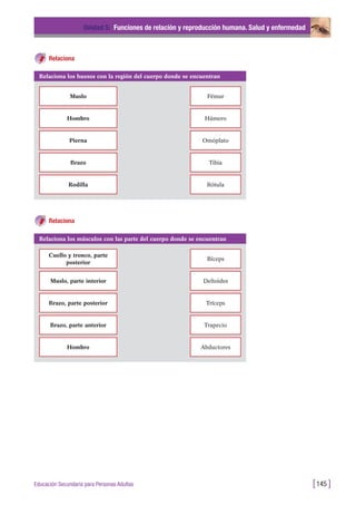 Relaciona
Unidad 5: Funciones de relación y reproducción humana. Salud y enfermedad
[145 ]Educación Secundaria para Personas Adultas
Relaciona los huesos con la región del cuerpo donde se encuentran
Muslo Fémur
Hombro Húmero
Pierna Omóplato
Brazo Tibia
Rodilla Rótula
Relaciona los músculos con las parte del cuerpo donde se encuentran
Cuello y tronco, parte
posterior
Bíceps
Muslo, parte interior Deltoides
Brazo, parte posterior Tríceps
Brazo, parte anterior Trapecio
Hombro Abductores
Relaciona
 