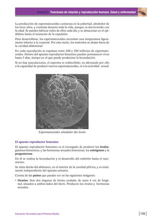 La producción de espermatozoides comienza en la pubertad, alrededor de
los trece años, y continúa durante toda la vida, aunque va decreciendo con
la edad. Se pueden fabricar miles de ellos cada día, y se almacenan en el epi-
dídimo hasta el momento de la expulsión.
Para desarrollarse, los espermatozoides necesitan una temperatura ligera-
mente inferior a la corporal. Por esta razón, los testículos se alojan fuera de
la cavidad abdominal.
En cada eyaculación se expulsan entre 200 y 300 millones de espermato-
zoides. Dentro del aparato reproductor femenino pueden permanecer vivos
hasta 5 días, tiempo en el que puede producirse la fecundación.
Si no hay eyaculaciones, el esperma es reabsorbido, no afectando por ello
a la capacidad de producir nuevos espermatozoides, ni a la actividad sexual.
Unidad 5: Funciones de relación y reproducción humana. Salud y enfermedad
[149 ]Educación Secundaria para Personas Adultas
Espermatozoides alrededor del óvulo
El aparato reproductor femenino
El aparato reproductor femenino es el encargado de producir los óvulos,
gametos femeninos, y las hormonas sexuales femeninas, los estrógenos y la
progesterona.
En él se realiza la fecundación y el desarrollo del embrión hasta el naci-
miento.
Se sitúa detrás del abdomen, en el interior de la cavidad pélvica, y es total-
mente independiente del aparato urinario.
Consta de las partes que puedes ver en las siguientes imágenes:
• Ovarios. Son dos órganos de forma ovalada, de unos 4 cm de longi-
tud, situados a ambos lados del útero. Producen los óvulos y hormonas
sexuales.
 