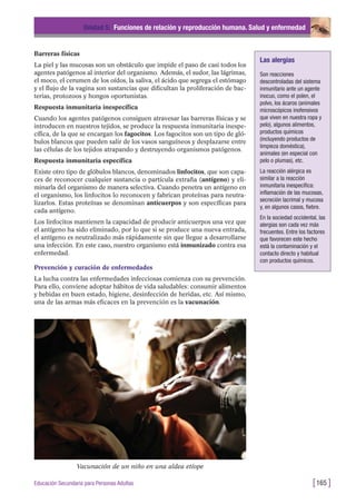 Barreras físicas
La piel y las mucosas son un obstáculo que impide el paso de casi todos los
agentes patógenos al interior del organismo. Además, el sudor, las lágrimas,
el moco, el cerumen de los oídos, la saliva, el ácido que segrega el estómago
y el flujo de la vagina son sustancias que dificultan la proliferación de bac-
terias, protozoos y hongos oportunistas.
Respuesta inmunitaria inespecífica
Cuando los agentes patógenos consiguen atravesar las barreras físicas y se
introducen en nuestros tejidos, se produce la respuesta inmunitaria inespe-
cífica, de la que se encargan los fagocitos. Los fagocitos son un tipo de gló-
bulos blancos que pueden salir de los vasos sanguíneos y desplazarse entre
las células de los tejidos atrapando y destruyendo organismos patógenos.
Respuesta inmunitaria específica
Existe otro tipo de glóbulos blancos, denominados linfocitos, que son capa-
ces de reconocer cualquier sustancia o partícula extraña (antígeno) y eli-
minarla del organismo de manera selectiva. Cuando penetra un antígeno en
el organismo, los linfocitos lo reconocen y fabrican proteínas para neutra-
lizarlos. Estas proteínas se denominan anticuerpos y son específicas para
cada antígeno.
Los linfocitos mantienen la capacidad de producir anticuerpos una vez que
el antígeno ha sido eliminado, por lo que si se produce una nueva entrada,
el antígeno es neutralizado más rápidamente sin que llegue a desarrollarse
una infección. En este caso, nuestro organismo está inmunizado contra esa
enfermedad.
Prevención y curación de enfermedades
La lucha contra las enfermedades infecciosas comienza con su prevención.
Para ello, conviene adoptar hábitos de vida saludables: consumir alimentos
y bebidas en buen estado, higiene, desinfección de heridas, etc. Así mismo,
una de las armas más eficaces en la prevención es la vacunación.
Unidad 5: Funciones de relación y reproducción humana. Salud y enfermedad
[165 ]Educación Secundaria para Personas Adultas
Las alergias
Son reacciones
descontroladas del sistema
inmunitario ante un agente
inocuo, como el polen, el
polvo, los ácaros (animales
microscópicos inofensivos
que viven en nuestra ropa y
pelo), algunos alimentos,
productos químicos
(incluyendo productos de
limpieza doméstica),
animales (en especial con
pelo o plumas), etc.
La reacción alérgica es
similar a la reacción
inmunitaria inespecífica:
inflamación de las mucosas,
secreción lacrimal y mucosa
y, en algunos casos, fiebre.
En la sociedad occidental, las
alergias son cada vez más
frecuentes. Entre los factores
que favorecen este hecho
está la contaminación y el
contacto directo y habitual
con productos químicos.
Vacunación de un niño en una aldea etíope
 