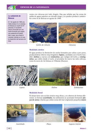 CIENCIAS DE LA NATURALEZA
zonas con cárcavas por todo Aragón. Hay que señalar que las zonas de
salida de aguas suponen un elevado riesgo, y se pueden producir catástro-
fes como la de Biescas en agosto de 1996.
[182 ] Módulo 3
Cañón de Añisclo Cárcavas
Lapiaz Dolina Estalactitas
La catástrofe de
Biescas
El 7 de agosto de 1996 una
riada produjo en un camping
de Biescas la muerte de 87
personas. El accidente
estuvo provocado por una
fuerte tormenta que originó
una avalancha de piedra,
lodo y agua, que arrasó el
camping, ubicado en el cono
de deyección del barranco de
Arás.
Modelado cárstico
El agua produce la disolución de suelos formados por caliza o por yesos,
produciéndose relieves muy irregulares (lapiaz), cavidades con el techo hun-
dido (dolina) y cuevas con estalactitas, que cuelgan del techo, y estalag-
mitas, que suben desde el suelo, al precipitar de nuevo las sales cálcicas,
como la cueva de As Güixas en Villanúa (Huesca).
Modelado litoral
El oleaje tiene una acción erosiva muy eficaz, y se observa de formas dife-
rentes: se forman acantilados, los sedimentos se acumulan formando pla-
yas de arena o barras que aislan zonas del mar originando pequeños mares
Acantilado Playa Laguna interior
 