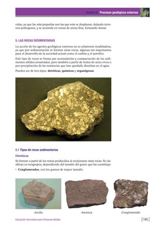 culas, ya que las más pequeñas son las que más se desplazan, dejando terre-
nos pedregosos, y se acumula en zonas de arena fina, formando dunas.
5. LAS ROCAS SEDIMENTARIAS
La acción de los agentes geológicos externos no es solamente modeladora,
ya que por sedimentación se forman otras rocas, algunas tan importantes
para el desarrollo de la sociedad actual como el carbón y el petróleo.
Este tipo de rocas se forma por acumulación y compactación de los sedi-
mentos sólidos arrastrados, pero también a partir de restos de seres vivos o
por precipitación de las sustancias que han quedado disueltas en el agua.
Pueden ser de tres tipos: detríticas, químicas y organógenas.
Unidad 6: Procesos geológicos externos
[185 ]Educación Secundaria para Personas Adultas
5.1 Tipos de rocas sedimentarias
Detríticas
Se forman a partir de los restos producidos al erosionarse otras rocas. Se cla-
sifican en tresgrupos, dependiendo del tamaño del grano que las constituye:
• Conglomerados, con los granos de mayor tamaño.
Arcilla Arenisca Conglomerado
 