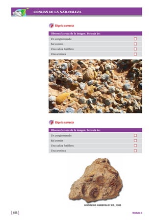 CIENCIAS DE LA NATURALEZA
Elige la correcta
[188 ] Módulo 3
Observa la roca de la imagen. Se trata de:
Un conglomerado
Sal común
Una caliza fosilífera
Una arenisca
Observa la roca de la imagen. Se trata de:
Un conglomerado
Sal común
Una caliza fosilífera
Una arenisca
Elige la correcta
 