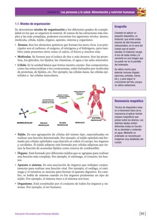 1.1. Niveles de organización
Se denominan niveles de organización a los diferentes grados de comple-
jidad en los que se organiza la materia. Si vamos de las estructuras más sim-
ples a las más complejas, podemos encontrar los siguientes niveles: átomo,
molécula, célula, tejido, órgano, aparato, sistema y organismo.
• Átomos. Son los elementos químicos que forman los seres vivos. Los prin-
cipales son el carbono, el oxígeno, el nitrógeno y el hidrógeno, pero tam-
bién están presentes otros como el calcio, el hierro y muchos más.
• Moléculas. Se forman por el enlace de dos o más átomos. Son las prote-
ínas, los glúcidos, los lípidos, las vitaminas, el agua o las sales minerales.
• Célula. Es la unidad básica que forma nuestro cuerpo. Sus componentes,
como las mitocondrias o los cromosomas, están formados por moléculas
de proteínas, de lípidos, etc. Por ejemplo, las células óseas, las células epi-
teliales o las células musculares.
Unidad 4: Las personas y la salud. Alimentación y nutrición humanas
[85 ]Educación Secundaria para Personas Adultas
Ecografía
Consiste en aplicar un
pequeño dispositivo, un
traductor, que emite ondas
sonoras de alta frecuencia
(ultrasonidos), en la zona del
cuerpo que se quiere
estudiar. El traductor recoge
el eco de estas ondas y lo
convierte en una imagen que
se puede ver en la pantalla
del ordenador.
Se utiliza mucho para
detectar tumores (hígado,
páncreas, próstata, mama,
etc.), y para seguir el
crecimiento del feto, porque
no utiliza radiaciones.
Resonancia magnética
Técnica de diagnóstico basa
en el fenómeno físico de la
resonancia al aplicar fuertes
campos magnéticos que
actúan sobre los átomos. Los
distintos tejidos emiten
diferentes ondas en función
de su densidad y contenido
en agua. Mediante un
ordenador se reconstruyen
imágenes muy detalladas del
cuerpo.
• Tejido. Es una agrupación de células del mismo tipo, especializadas en
realizar una función determinada. Por ejemplo, el tejido epitelial está for-
mado por células epiteliales cuya función es cubrir el cuerpo, los órganos
y cavidades. El tejido adiposo está formado por células adiposas que tie-
nen la función de acumular lípidos como reserva de combustible.
• Órgano. Está formado por diferentes tejidos que se agrupan para realizar
una función más compleja. Por ejemplo, el estómago, el corazón, los hue-
sos.
• Aparato o sistema. Es una asociación de órganos que trabajan conjun-
tamente para realizar una función vital. Por ejemplo, el esófago, el estó-
mago y el intestino se asocian para formar el aparato digestivo. En cam-
bio, se habla de sistema cuando en los órganos predomina un tipo de
tejido. Por ejemplo, el sistema óseo o el sistema nervioso.
• Organismo. Está constituido por el conjunto de todos los órganos y sis-
temas. Por ejemplo, el ser humano.
 