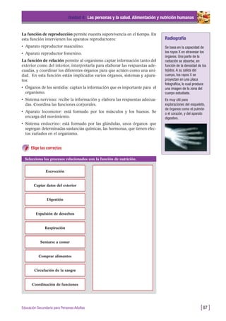 La función de reproducción permite nuestra supervivencia en el tiempo. En
esta función intervienen los aparatos reproductores:
• Aparato reproductor masculino.
• Aparato reproductor femenino.
La función de relación permite al organismo captar información tanto del
exterior como del interior, interpretarla para elaborar las respuestas ade-
cuadas, y coordinar los diferentes órganos para que actúen como una uni-
dad. En esta función están implicados varios órganos, sistemas y apara-
tos:
• Órganos de los sentidos: captan la información que es importante para el
organismo.
• Sistema nervioso: recibe la información y elabora las respuestas adecua-
das. Coordina las funciones corporales.
• Aparato locomotor: está formado por los músculos y los huesos. Se
encarga del movimiento.
• Sistema endocrino: está formado por las glándulas, unos órganos que
segregan determinadas sustancias químicas, las hormonas, que tienen efec-
tos variados en el organismo.
Elige las correctas
Unidad 4: Las personas y la salud. Alimentación y nutrición humanas
[87 ]Educación Secundaria para Personas Adultas
Radiografía
Se basa en la capacidad de
los rayos X en atravesar los
órganos. Una parte de la
radiación se absorbe, en
función de la densidad de los
tejidos. A su salida del
cuerpo, los rayos X se
proyectan en una placa
fotográfica, lo cual produce
una imagen de la zona del
cuerpo estudiada.
Es muy útil para
exploraciones del esqueleto,
de órganos como el pulmón
o el corazón, y del aparato
digestivo.
Selecciona los procesos relacionados con la función de nutrición.
Excrección
Captar datos del exterior
Digestión
Expulsión de desechos
Respiración
Sentarse a comer
Comprar alimentos
Circulación de la sangre
Coordinación de funciones
 