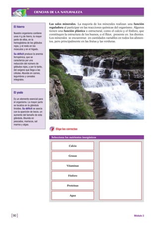 CIENCIAS DE LA NATURALEZA
Las sales minerales. La mayoría de los minerales realizan una función
reguladora al participar en las reacciones químicas del organismo. Algunos
tienen una función plástica o estructural, como el calcio y el fósforo, que
constituyen la estructura de los huesos, o el flúor, presente en los dientes.
Los minerales se encuentran en cantidades variables en todos los alimen-
tos, pero principalmente en las frutas y las verduras.
[90 ] Módulo 3
El hierro
Nuestro organismo contiene
unos 4 g de hierro, la mayor
parte de ellos, en la
hemoglobina de los glóbulos
rojos, y el resto en los
músculos y en el hígado.
Su déficit produce la anemia
ferropénica, que se
caracteriza por una
reducción del número de
glóbulos rojos, y por lo tanto,
del oxígeno que llega a las
células. Abunda en carnes,
legumbres y cereales
integrales.
El yodo
Es un elemento esencial para
el organismo. La mayor parte
se localiza en la glándula
tiroides. Su déficit se asocia
con la aparición de bocio, un
aumento del tamaño de esta
glándula. Abunda en
pescados, mariscos, sal
marina y algas.
Elige las correctas
Selecciona los nutrientes inorgánicos
Calcio
Grasas
Vitaminas
Fósforo
Proteínas
Agua
 