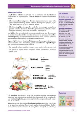 Nutrientes orgánicos
Los glúcidos o hidratos de carbono. Son los nutrientes más abundantes en
los alimentos de origen vegetal. Aportan energía de forma inmediata a las
células.
• Glúcidos sencillos: se digieren y absorben rápidamente, tienen sabor dulce
y abundan en las frutas y algunas verduras. Son algunos ejemplos, la glu-
cosa, la fructosa y la sacarosa o azúcar común.
• Glúcidos complejos: son grandes moléculas formadas por unidades de
glúcidos sencillos. Destacan el almidón, presente en la patata, las legum-
bres y los cereales, y la celulosa, que aporta fibra vegetal.
Los lípidos. Son un conjunto de sustancias muy diversas que desempeñan
las tres funciones. Los lípidos más abundantes son las grasas, que tienen fun-
ción energética y se depositan en las células del tejido adiposo, formando
acúmulos de grasa debajo de la piel y entre los órganos.
Algunos lípidos tienen función plástica porque forman parte de las mem-
branas celulares, como el colesterol, y otros tienen función reguladora por-
que actúan como vitaminas y hormonas.
• Las grasas de origen vegetal se conocen como aceites (oliva, girasol, etc.).
• Las grasas de origen animal suelen ser sólidas (mantequilla, manteca,
tocino, etc.).
Unidad 4: Las personas y la salud. Alimentación y nutrición humanas
[91 ]Educación Secundaria para Personas Adultas
Las vitaminas
Se clasifican en dos grupos:
Vitaminas liposolubles. Son
solubles en lípidos, pero no
en agua. Se almacenan en el
hígado. Las más conocidas
son la A y la D.
Vitaminas hidrosolubles.
Son solubles en agua, pero
no en lípidos. No se
acumulan. Entre estas
vitaminas se encuentran la
B1, la B2, la B12 y la C.
Un exceso de vitaminas
hidrosolubles no produce
efectos perjudiciales, ya que
pueden expulsarse por la
orina o el sudor; sin
embargo, dosis elevadas de
vitaminas liposolubles
(complementos vitamínicos)
pueden acumularse en zonas
grasas del organismo y tener
efectos nocivos.
Las proteínas. Son grandes moléculas formadas por unas unidades más
pequeñas, que se denominan aminoácidos. La mayoría de las proteínas tie-
nen unafunción plástica, pues son los principales componentes de la estruc-
tura de las células.
Algunas proteínas desempeñan funciones reguladoras porque: intervienen
en las reacciones químicas (las enzimas), regulan ciertas actividades (las hor-
monas), transportan sustancias (la hemoglobina transporta el oxígeno), o
Nutrientes
 