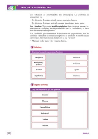 CIENCIAS DE LA NATURALEZA
nos defienden de enfermedades (los anticuerpos). Las proteínas se
encuentran en:
• En alimentos de origen animal: carnes, pescados, huevos.
• En alimentos de origen vegetal: cereales, legumbres y frutos secos.
Las vitaminas. Tienen una función reguladora, intervienen en las reaccio-
nes químicas celulares y son imprescindibles para el crecimiento y el buen
funcionamiento del organismo.
Las cantidades que necesitamos de vitaminas son pequeñísimas, pero su
ausencia o déficit en la alimentación provoca la aparición de enfermedades
carenciales. Las vitaminas se alteran con la luz y el calor.
• Abundan en las frutas y las verduras frescas.
Relaciona
[92 ] Módulo 3
Relaciona los nutrientes con sus funciones
Energética Proteínas
Energética y
plástica
Glúcidos
Plástica Lípidos
Reguladora Vitaminas
Elige las correctas
Elige los compuestos que son glúcidos
Almidón
Glucosa
Hemoglobina
Colesterol
Celulosa
Fructosa
 