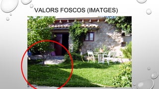 VALORS FOSCOS (IMATGES)
 