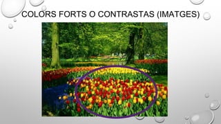 COLORS FORTS O CONTRASTAS (IMATGES)
 