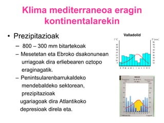  Solidoa (elurra, ihintza)