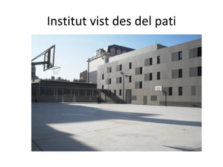 Institut vist des del pati 
