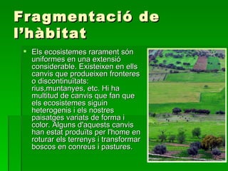 Fragmentació de l’hàbitat Els ecosistemes rarament són uniformes en una extensió considerable. Existeixen en ells canvis que produeixen fronteres o discontinuïtats: rius,muntanyes, etc. Hi ha multitud de canvis que fan que els ecosistemes siguin heterogenis i els nostres paisatges variats de forma i color. Alguns d'aquests canvis han estat produïts per l'home en roturar els terrenys i transformar boscos en conreus i pastures. 
