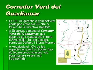 Corredor Verd del Guadiamar La UE vol garantir la connectivitat ecològica entre els EE.NN. a través de la Directiva Hàbitats.  A Espanya, destaca el  Corredor Verd del Guadiamar , que després de la catàstrofe minera d'Aznalcóllar, fa una dècada, connecta Doñana i Sierra Morena.  A Andalusia el 40% de les espècies en perill es troben fora de les reserves naturals i els ecosistemes estan molt fragmentats. 