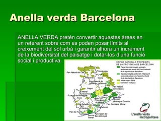 Anella verda Barcelona ANELLA VERDA pretén convertir aquestes àrees en un referent sobre com es poden posar límits al creixement del sòl urbà i garantir alhora un increment de la biodiversitat del paisatge i dotar-los d’una funció social i productiva. 