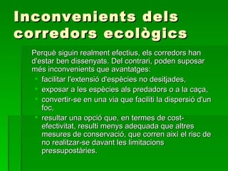 Inconvenients dels corredors ecològics Perquè siguin realment efectius, els corredors han d'estar ben dissenyats. Del contrari, poden suposar més inconvenients que avantatges:  facilitar l'extensió d'espècies no desitjades,  exposar a les espècies als predadors o a la caça,  convertir-se en una via que faciliti la dispersió d'un foc,  resultar una opció que, en termes de cost-efectivitat, resulti menys adequada que altres mesures de conservació, que corren així el risc de no realitzar-se davant les limitacions pressupostàries. 