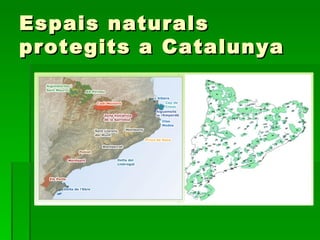 Espais naturals protegits a Catalunya 