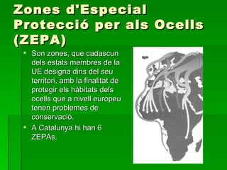 Zones d'Especial Protecció per als Ocells (ZEPA)  Son zones, que cadascun dels estats membres de la UE designa dins del seu territori, amb la finalitat de protegir els hàbitats dels ocells que a nivell europeu tenen problemes de conservació.  A Catalunya hi han 6 ZEPAs.  