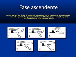 FFaassee aasscceennddeennttee 
EEnn eessttaa ffaassee hhaayy uunnaa fflleexxiióónn ddee rrooddiillllaa mmááss pprroonnuunncciiaaddaa qquuee eenn eell eessttiilloo ccrrooll,, ppeerroo ssiieemmpprree ssiinn 
rroommppeerr llaa ssuuppeerrffiicciiee ddeell aagguuaa ((ssee ppuueeddee lllleeggaarr aa 4455º ddee fflleexxiióónn yy aa 55 ccmm ddee llaa ssuuppeerrffiicciiee 
aapprrooxxiimmaaddaammeennttee)) yy ccoonn eexxtteennssiióónn ppllaannttaarr.. 
 