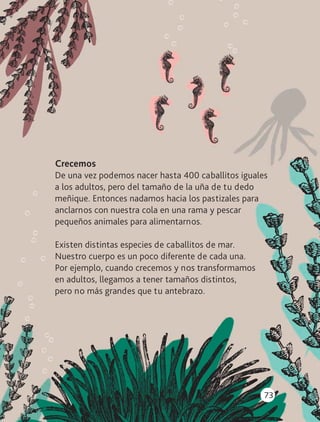 73
Crecemos
De una vez podemos nacer hasta 400 caballitos iguales
a los adultos, pero del tamaño de la uña de tu dedo
meñique. Entonces nadamos hacia los pastizales para
anclarnos con nuestra cola en una rama y pescar
pequeños animales para alimentarnos.
Existen distintas especies de caballitos de mar.
Nuestro cuerpo es un poco diferente de cada una.
Por ejemplo, cuando crecemos y nos transformamos
en adultos, llegamos a tener tamaños distintos,
pero no más grandes que tu antebrazo.
AB-LECTURAS-2-P-001-140/AJUSTADA.indd 73 27/03/12 12:29
 