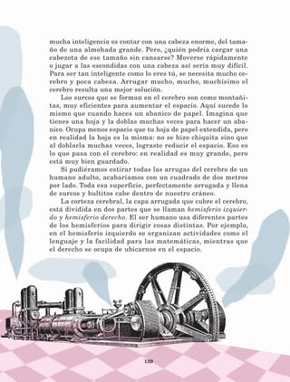 139
mucha inteligencia es contar con una cabeza enorme, del tama-
ño de una almohada grande. Pero, ¿quién podría cargar una
cabezota de ese tamaño sin cansarse? Moverse rápidamente
o jugar a las escondidas con una cabeza así sería muy difícil.
Para ser tan inteligente como lo eres tú, se necesita mucho ce-
rebro y poca cabeza. Arrugar mucho, mucho, muchísimo el
cerebro resulta una mejor solución.
Los surcos que se forman en el cerebro son como montañi-
tas, muy eficientes para aumentar el espacio. Aquí sucede lo
mismo que cuando haces un abanico de papel. Imagina que
tienes una hoja y la doblas muchas veces para hacer un aba-
nico. Ocupa menos espacio que tu hoja de papel extendida, pero
en realidad la hoja es la misma: no se hizo chiquita sino que
al doblarla muchas veces, lograste reducir el espacio. Eso es
lo que pasa con el cerebro: en realidad es muy grande, pero
está muy bien guardado.
Si pudiéramos estirar todas las arrugas del cerebro de un
humano adulto, acabaríamos con un cuadrado de dos metros
por lado. Toda esa superficie, perfectamente arrugada y llena
de surcos y bultitos cabe dentro de nuestro cráneo.
La corteza cerebral, la capa arrugada que cubre el cerebro,
está dividida en dos partes que se llaman hemisferio izquier­
do y hemisferio derecho. El ser humano usa diferentes partes
de los hemisferios para dirigir cosas distintas. Por ejemplo,
en el hemisferio izquierdo se organizan actividades como el
lenguaje y la facilidad para las matemáticas, mientras que
el derecho se ocupa de ubicarnos en el espacio.
LECTURAS 4 NO BERMAN.indd 139 27/03/12 13:37
 